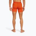 Pánske termo boxerky Icebreaker Anatomica fervid 4