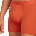 Pánske termo boxerky Icebreaker Anatomica fervid 5