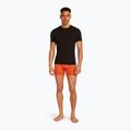 Pánske termo boxerky Icebreaker Anatomica fervid 6