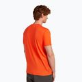 Pánske tričko Icebreaker Merino 150 Tech Lite Bear Tour fervid 3