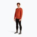 Pánske termo tričko longsleeve icebreaker 200 Oasis Crewe agate 4