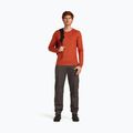 Pánske termo tričko longsleeve icebreaker 200 Oasis Crewe agate 5