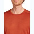 Pánske termo tričko longsleeve icebreaker 200 Oasis Crewe agate 6