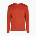 Pánske termo tričko longsleeve icebreaker 200 Oasis Crewe agate 7