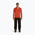 Pánska mikina Icebreaker Merino 260 Quantum IV Zip Hoodie agate 2
