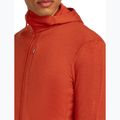 Pánska mikina Icebreaker Merino 260 Quantum IV Zip Hoodie agate 8
