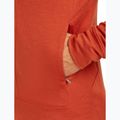 Pánska mikina Icebreaker Merino 260 Quantum IV Zip Hoodie agate 9