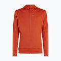 Pánska mikina Icebreaker Merino 260 Quantum IV Zip Hoodie agate 10