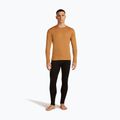 Pánska termoaktívna mikina icebreaker 260 Tech Crewe trail 2