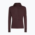 Pánska trekingová mikina Icebreaker Merino 200 RealFleece Descender Zip Hoodie java 10