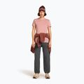 Dámske trekingové tričko Icebreaker Merino 150 Tech Lite III Tee blush 4
