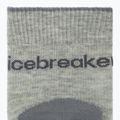 Dámske ponožky icebreaker Merino Hike+ Light Crew 2 pairs blizzar hthr/alloy 3