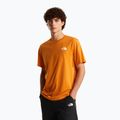 Pánske tričko The North Face Evolution Box NSE dust orange