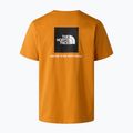 Pánske tričko The North Face Evolution Box NSE dust orange 6