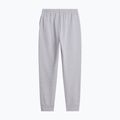 Pánske nohavice The North Face Evolution Simple Dome Regular Jogger tnf pale grey h 5