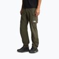 Pánske trekingové nohavice The North Face Exploration Cargo taupe green