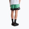 Pánske trekingové šortky The North Face Leynar dimmed algae/tnf black 3