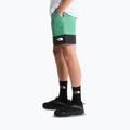 Pánske trekingové šortky The North Face Leynar dimmed algae/tnf black 4