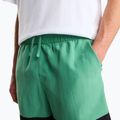 Pánske trekingové šortky The North Face Leynar dimmed algae/tnf black 7