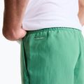 Pánske trekingové šortky The North Face Leynar dimmed algae/tnf black 8