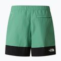 Pánske trekingové šortky The North Face Leynar dimmed algae/tnf black 10