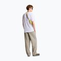 Pánske trekingové tričko The North Face Vertical Regular tnf white 2