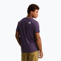 Pánske tričko The North Face Evolution Half Dome endless dusk 4
