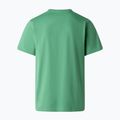 Pánske tričko The North Face Evolution Simple Dome dimmed algae 5