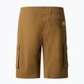 Pánske trekingové šortky The North Face Exploration Cargo Shorts utility brown 5