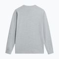  The North Face Evolution Simple Dome Regular LS Tee tnf pale grey heather 5
