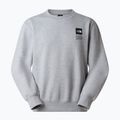 Mikina The North Face Celebration Relaxed Crew Graphic tnf light grey heather