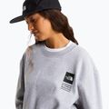 Mikina The North Face Celebration Relaxed Crew Graphic tnf light grey heather 10