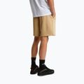 Pánske trekingové šortky The North Face Box Nse Light Regular Shorts khaki stone 3