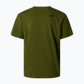 Pánske tričko The North Face Mountain Logo Relaxed woodland green 6
