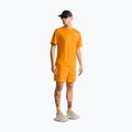 Pánske tričko The North Face 24/7 Box Nse dust orange 2