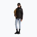 Dámska softshellová bunda The North Face Quest Mono INS tnf black 2
