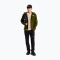 Pánska softshellová bunda The North Face Quest Mono woodland green 2
