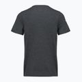 Pánske tričko Smartwool Lunar Bear Active SS Graphic Tee charcoal heather 2