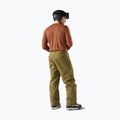 Pánska termo mikina Smartwool Merino 250 Baselayer Crew Boxed burnt sienna 2
