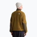 Pánska fleecová mikina The North Face Yumiori Off Peak 1/2 Zip caraway seed/ne 3