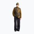Pánska fleecová mikina The North Face Yumiori Full Zip new taupe green 2