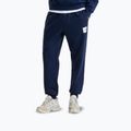 Pánske nohavice The North Face Evo Box Half Dome Regular Tappered summit navy