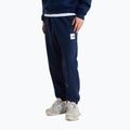 Pánske nohavice The North Face Evo Box Half Dome Regular Tappered summit navy 3