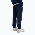 Pánske nohavice The North Face Evo Box Half Dome Regular Tappered summit navy 4