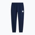 Pánske nohavice The North Face Evo Box Half Dome Regular Tappered summit navy 5