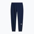 Pánske nohavice The North Face Evo Box Half Dome Regular Tappered summit navy 6