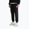 Pánske nohavice The North Face Evo Box Half Dome Regular Tappered tnf black