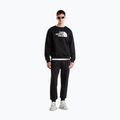 Pánske nohavice The North Face Evo Box Half Dome Regular Tappered tnf black 2
