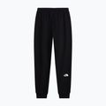 Pánske nohavice The North Face Evo Box Half Dome Regular Tappered tnf black 5