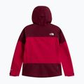 Dámska nepremokavá bunda The North Face Gtx Jazzi lali guran/burgundy cru 6